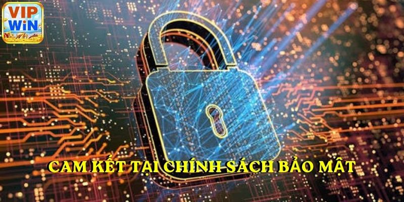 Cam kết tại chính sách bảo mật