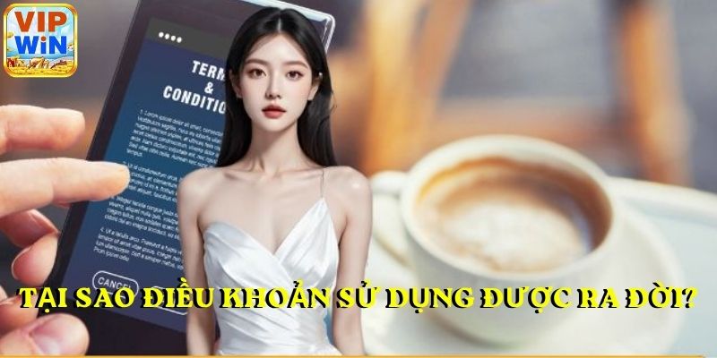 Tại sao Điều khoản sử dụng được ra đời?